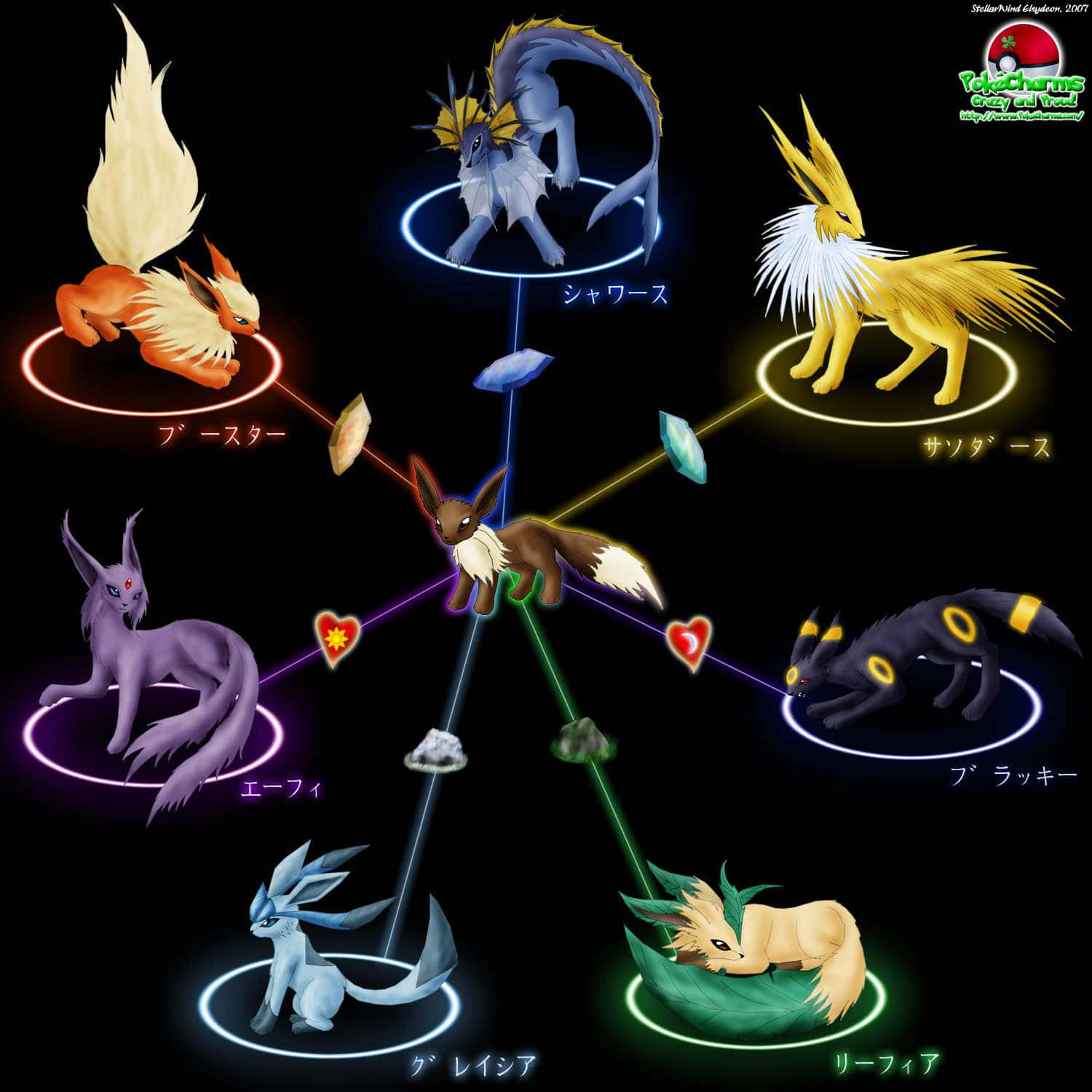 All Around Pokémon Trainer: Eevee Wallpaper