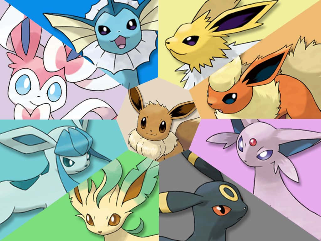 All The Eeveelutions Of The Pokemon Universe Wallpaper