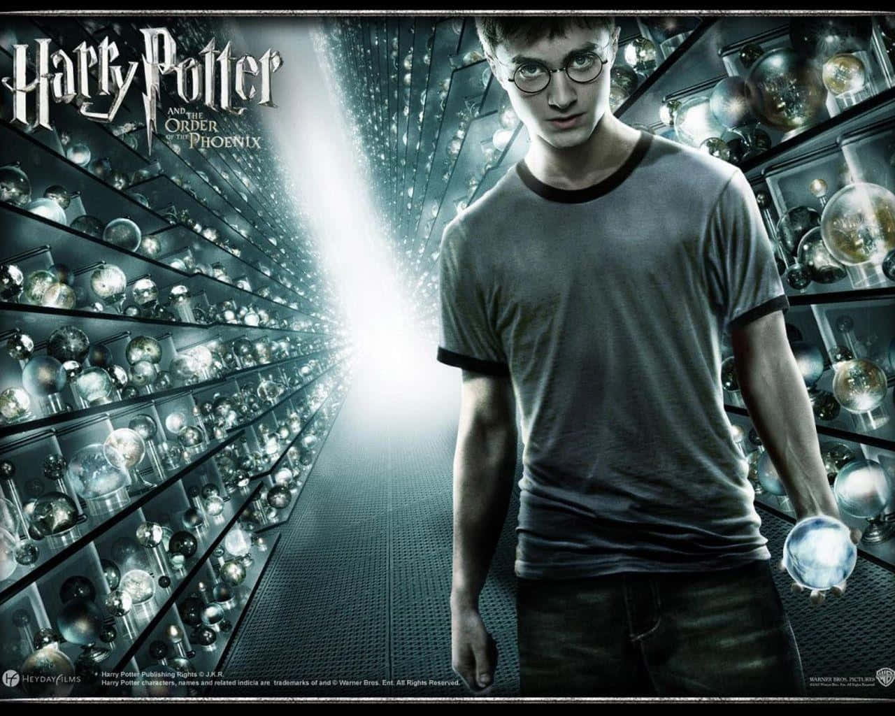 All Your Favorite Harry Potter Characters In One Place! Wallpaper