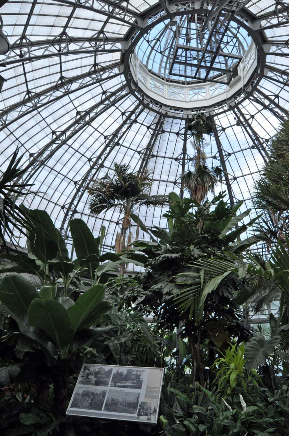 Allan Gardens Conservatory Dome Interior Wallpaper