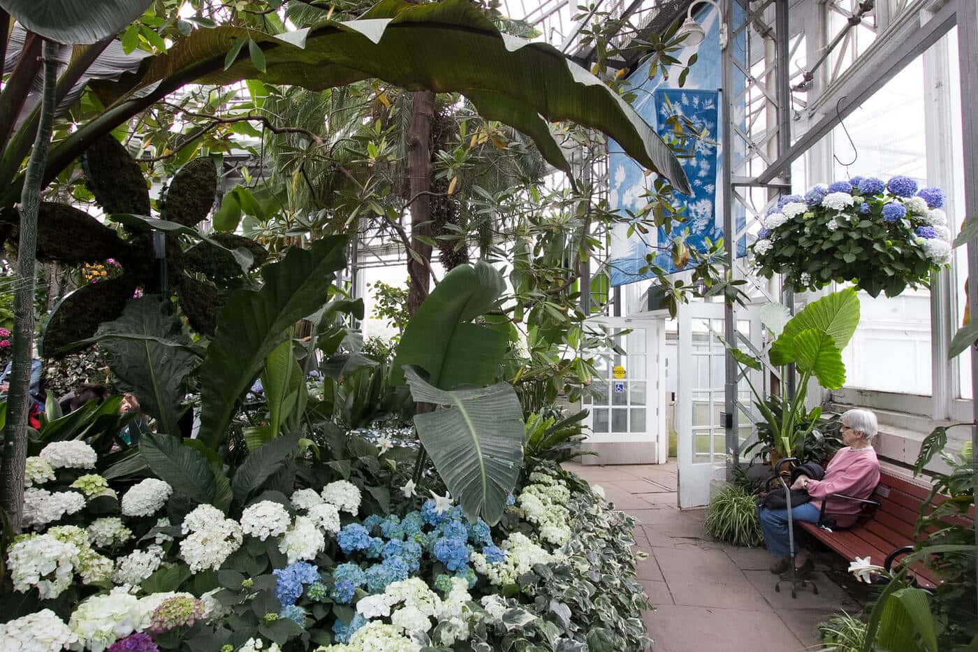 Allan Gardens Conservatory Relaxation Wallpaper