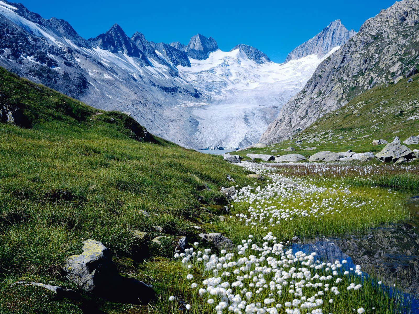 Alpine_ Glacier_ Scenery_ Bern Wallpaper