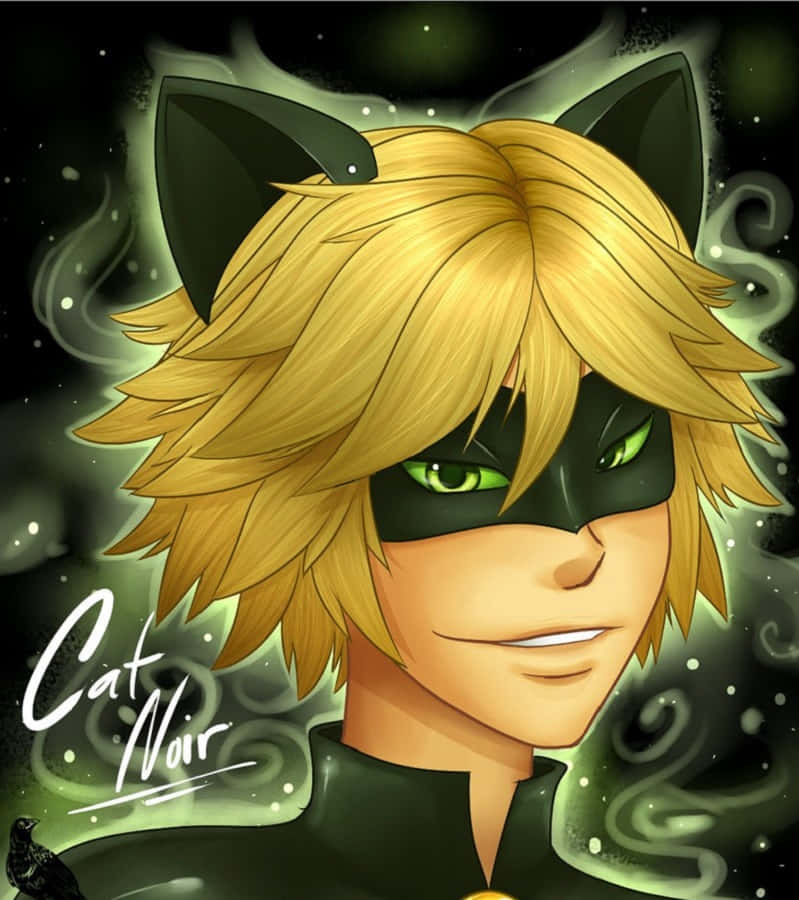 Amazing Cute Cat Noir Illustration Wallpaper