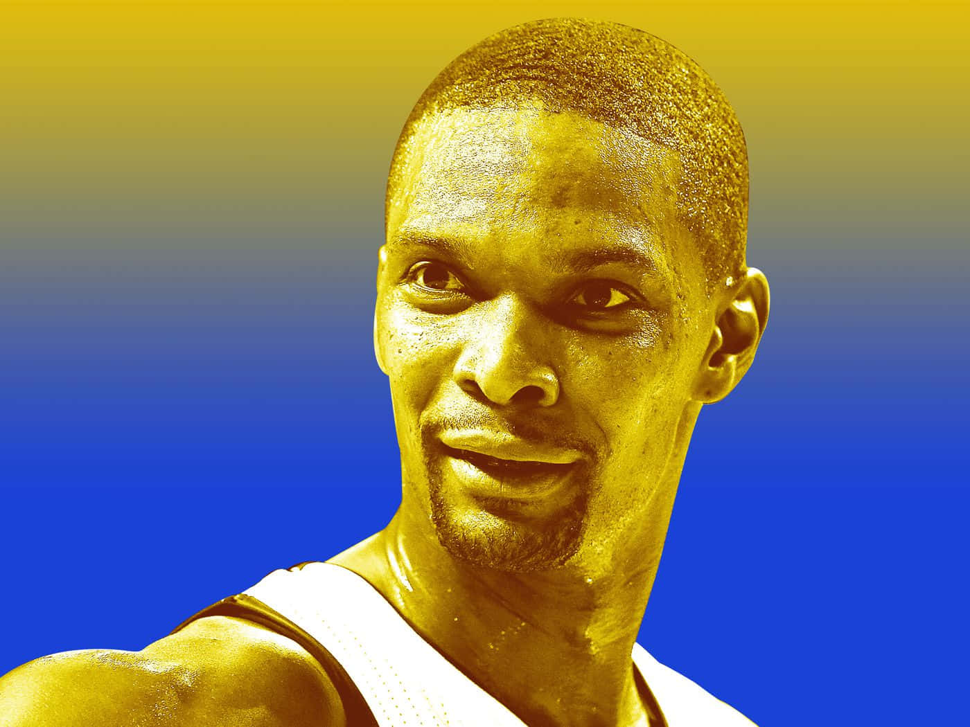 American Chris Bosh Digital Illustration Wallpaper