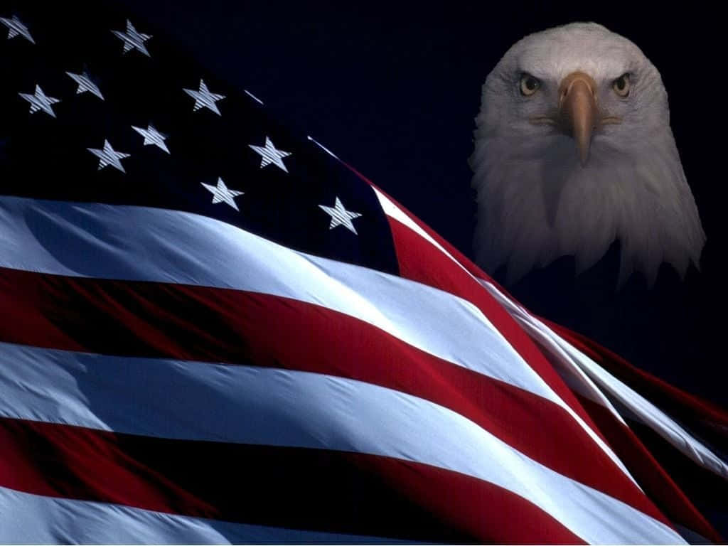 American Flag And Bald Eagle Patriotic Military Wallpaper