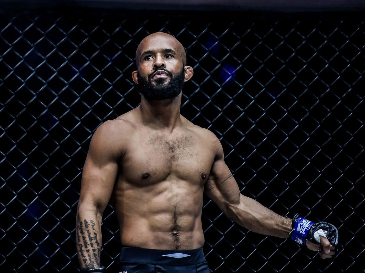 American Mixed Martial Artist Demetrious Johnson Wallpaper