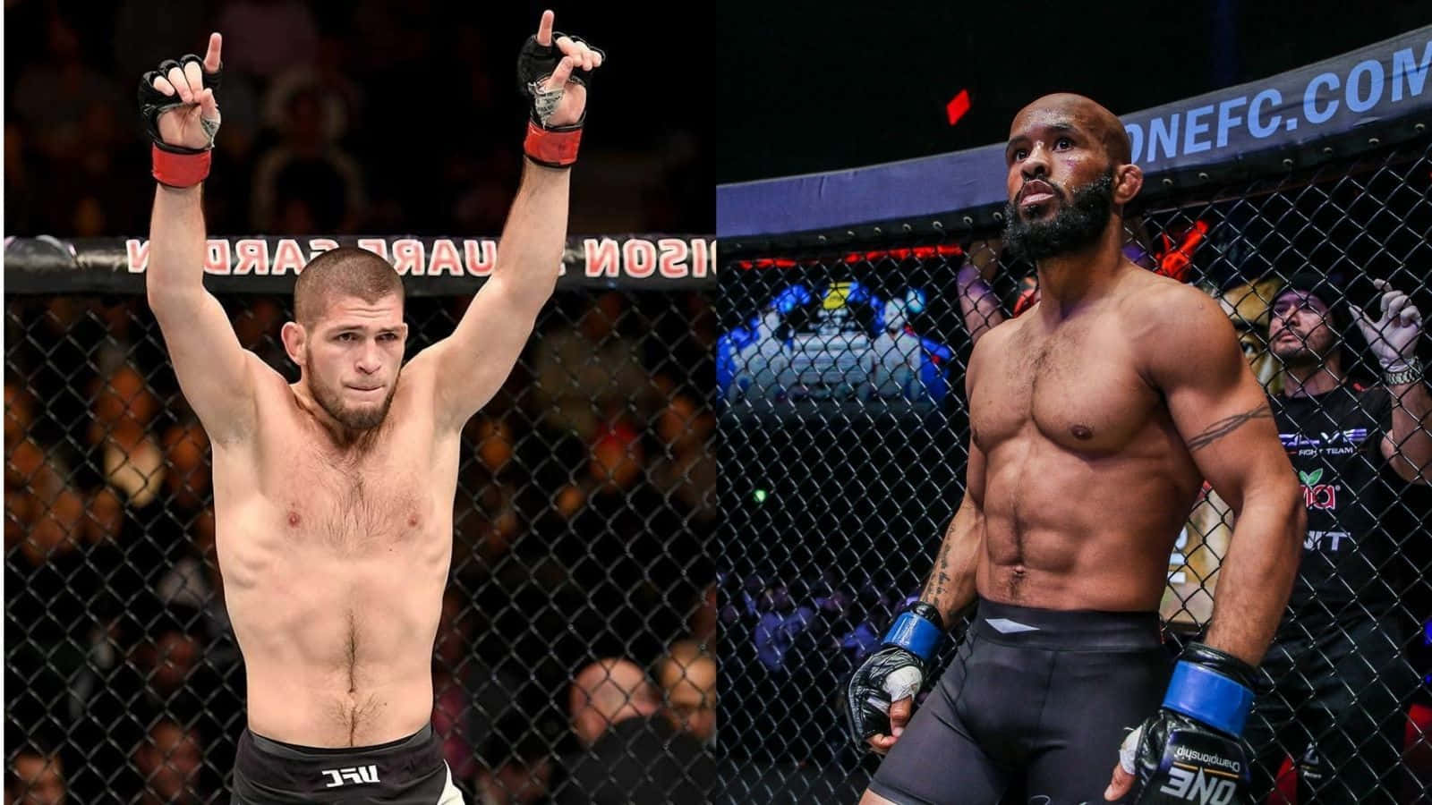 American Mma Demetrious Johnson And Khabib Nurmagomedov Wallpaper