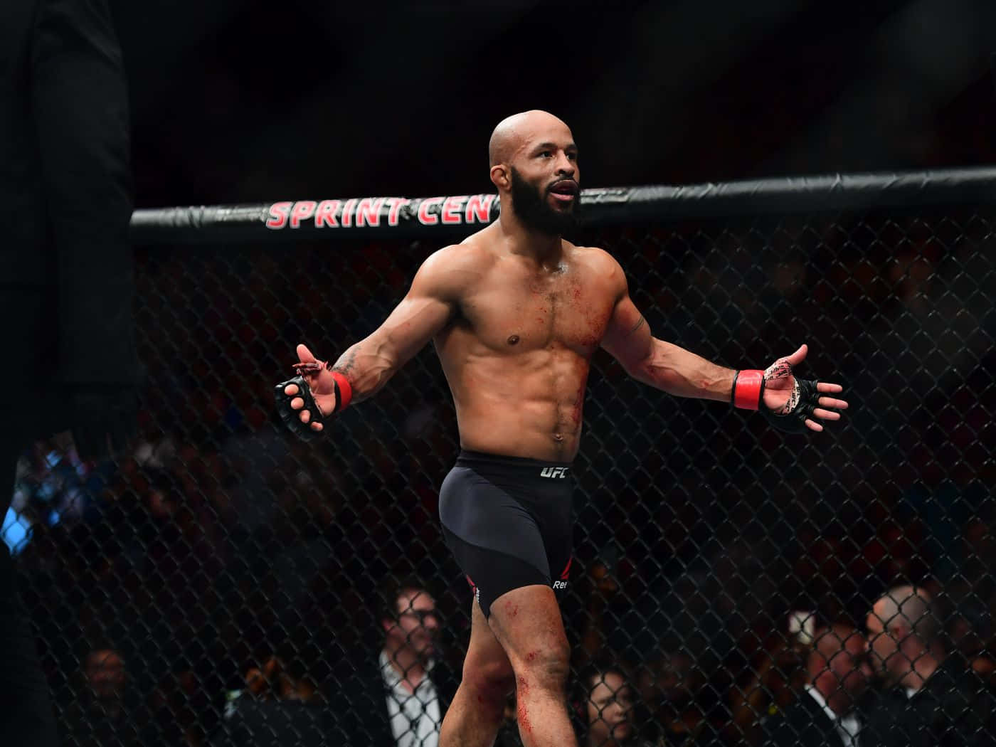 American Professional Mixed Martial Arts Fighter Demetrious Johnson Wallpaper