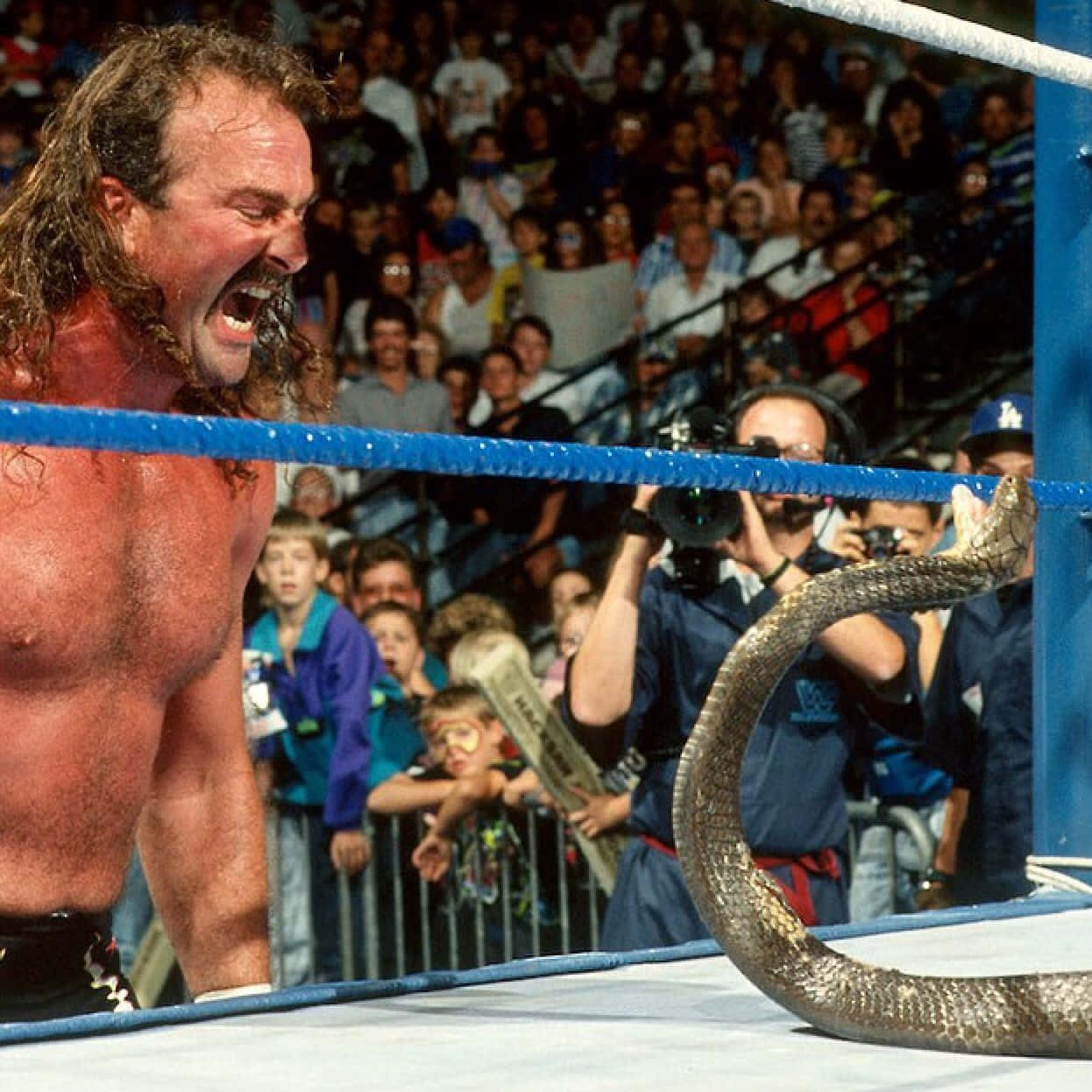 American Wrestler Jake Roberts Screaming At Damien Wallpaper