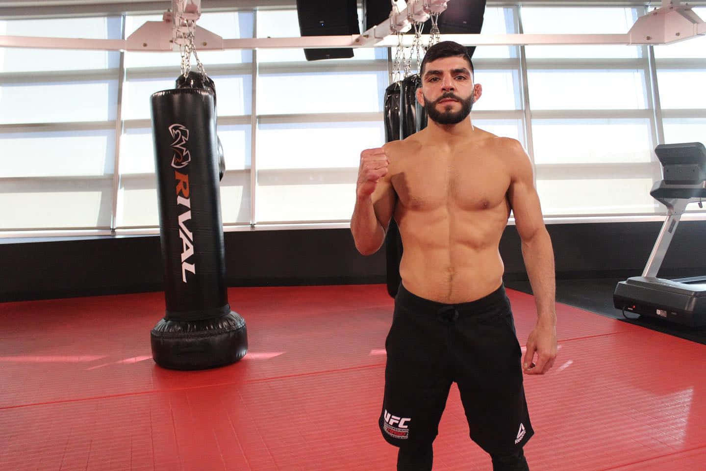 Amir Albazi Posing In Gym Wallpaper