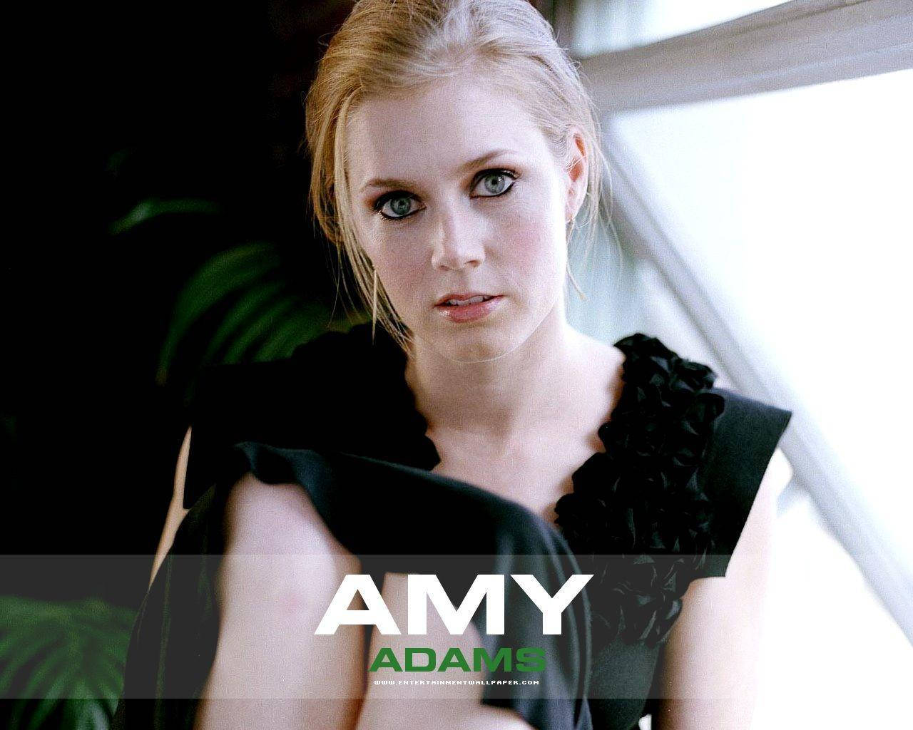 Amy Adams Fuzzy Background Wallpaper