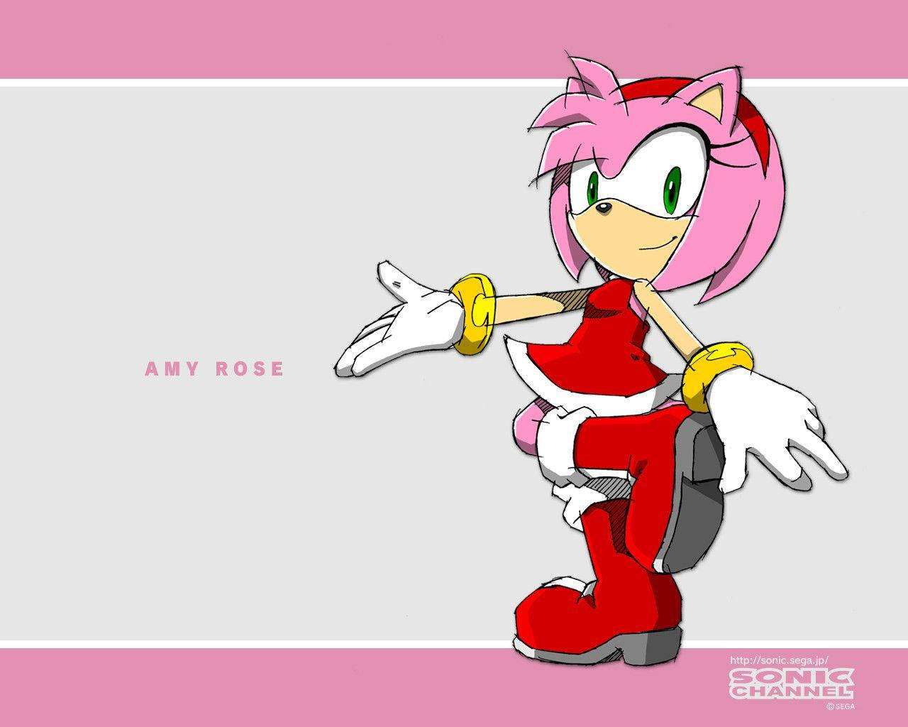 Amy Rose Drawing Art Wallpaper