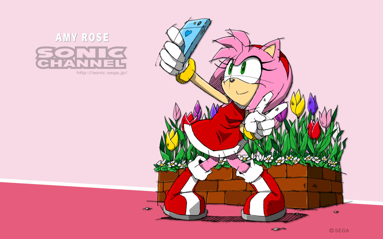 Amy Rose Selfie Art Wallpaper