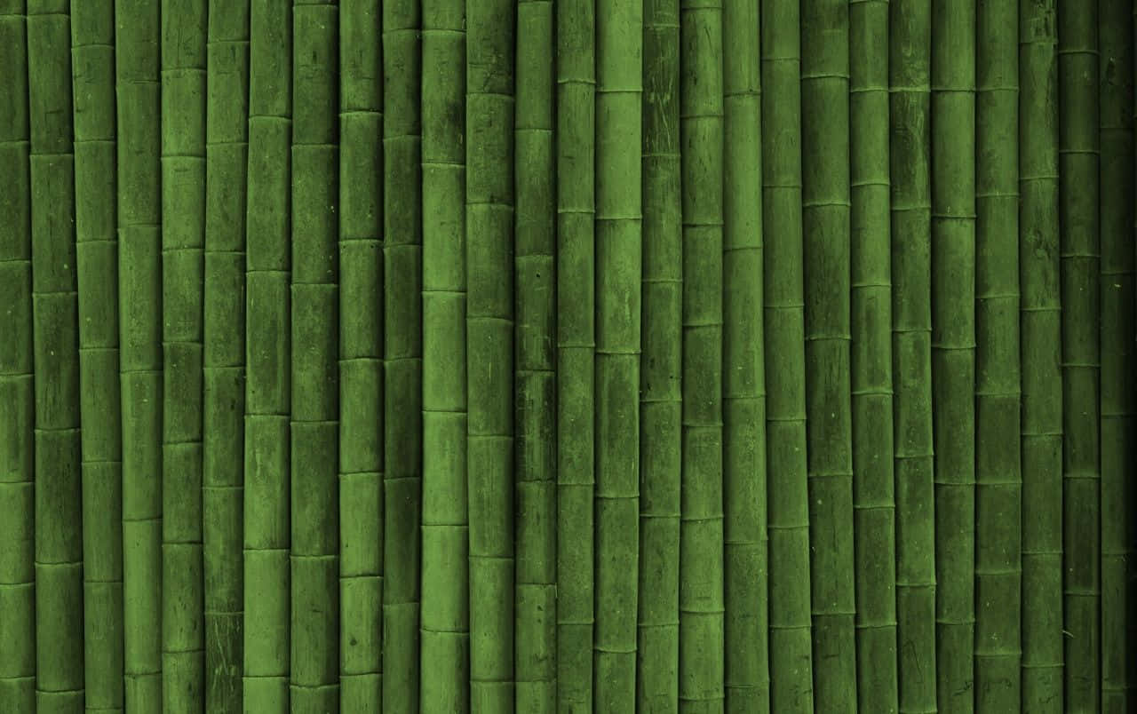 An Abundance Of Green Bamboo Wallpaper