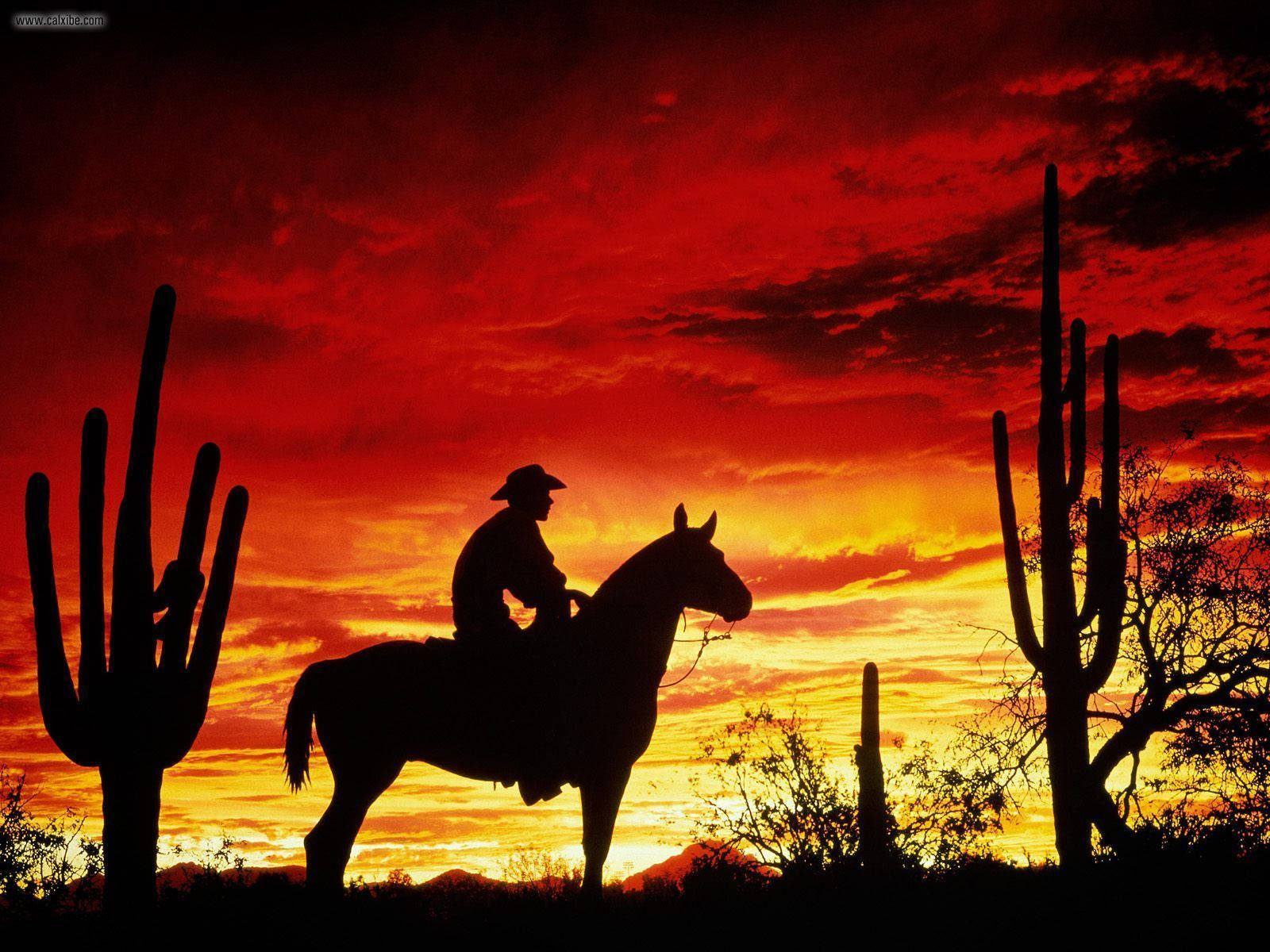 An American Cowboy Sporting His Trademark Cowboy Hat Wallpaper