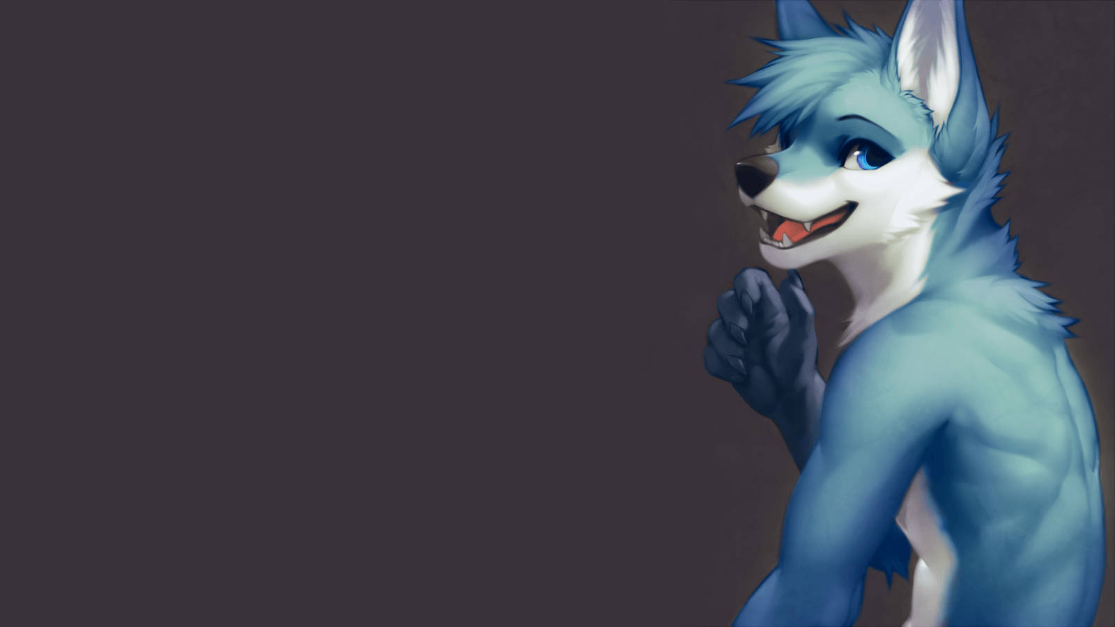 An Ice Blue Male Wolf Wallpaper