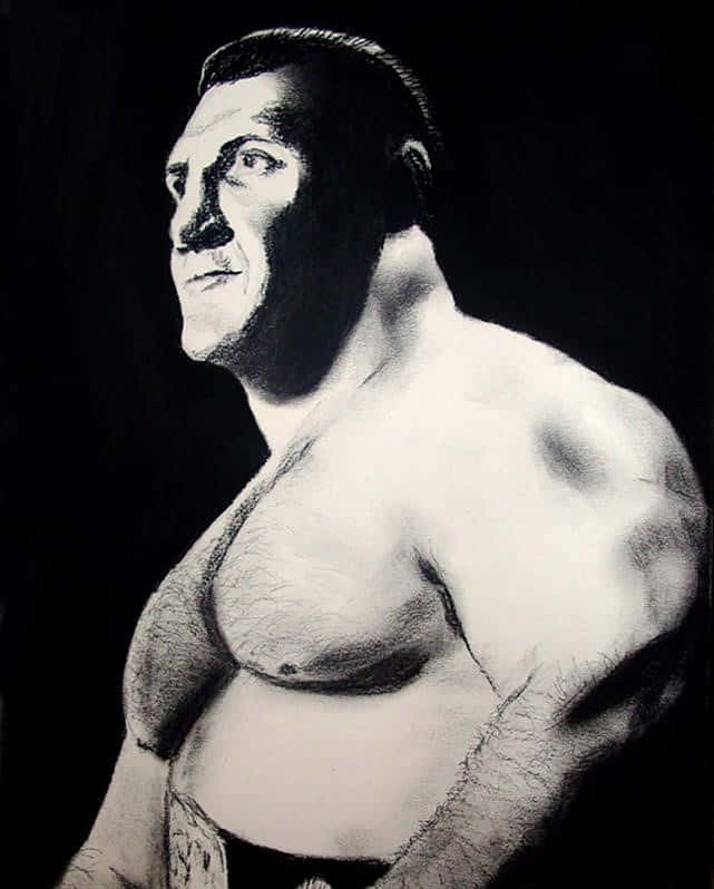 An Inspiring Illustration Of Wrestling Legend Bruno Sammartino Wallpaper