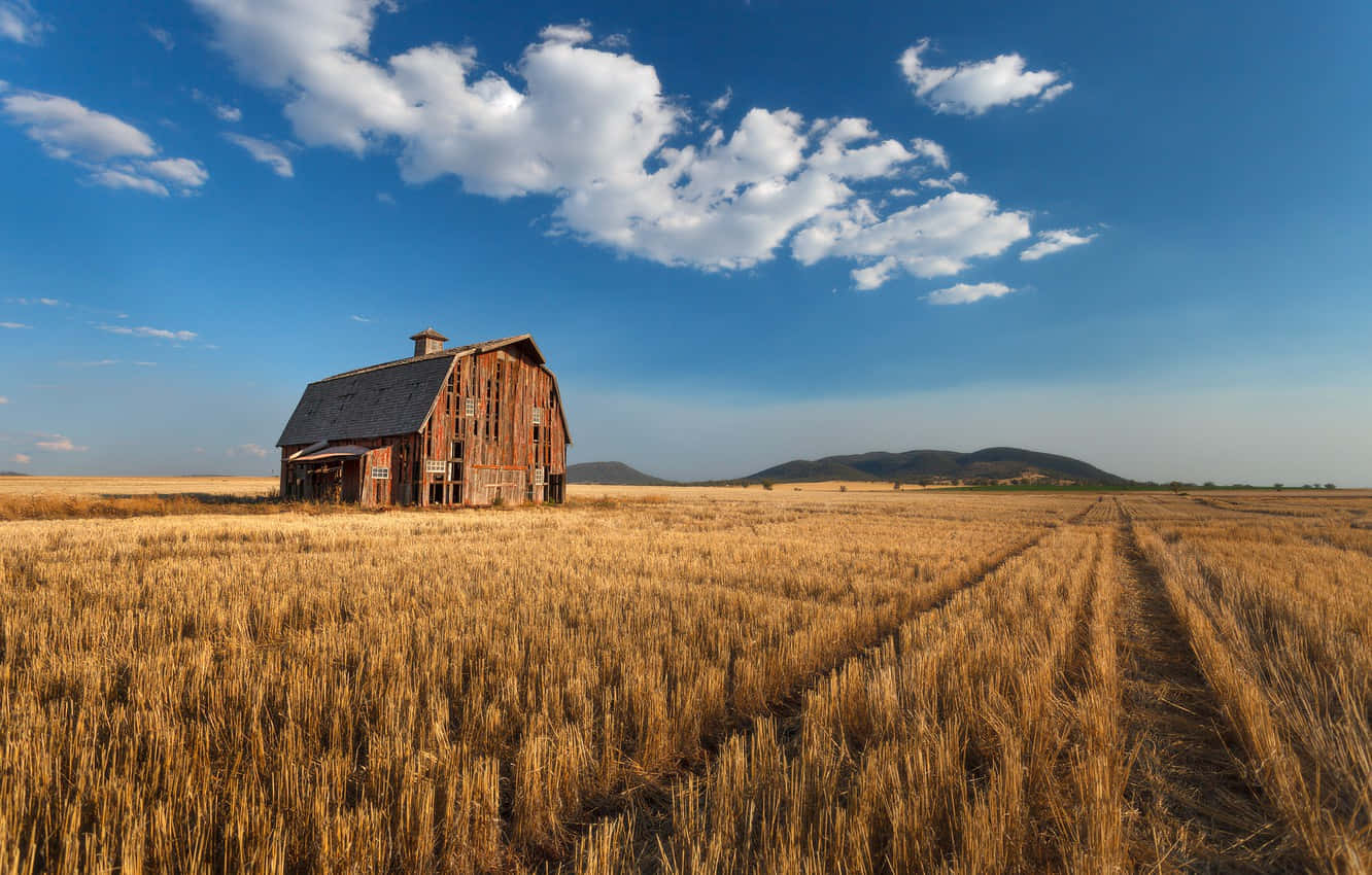 An Old Barn In A Field Wallpaper