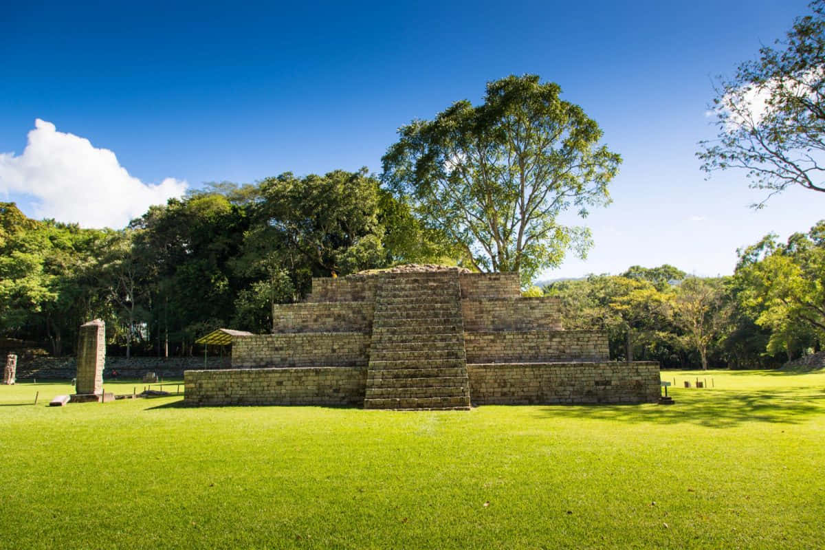 Ancient Mayan Ruins Of Copan In Mesoamerica Wallpaper