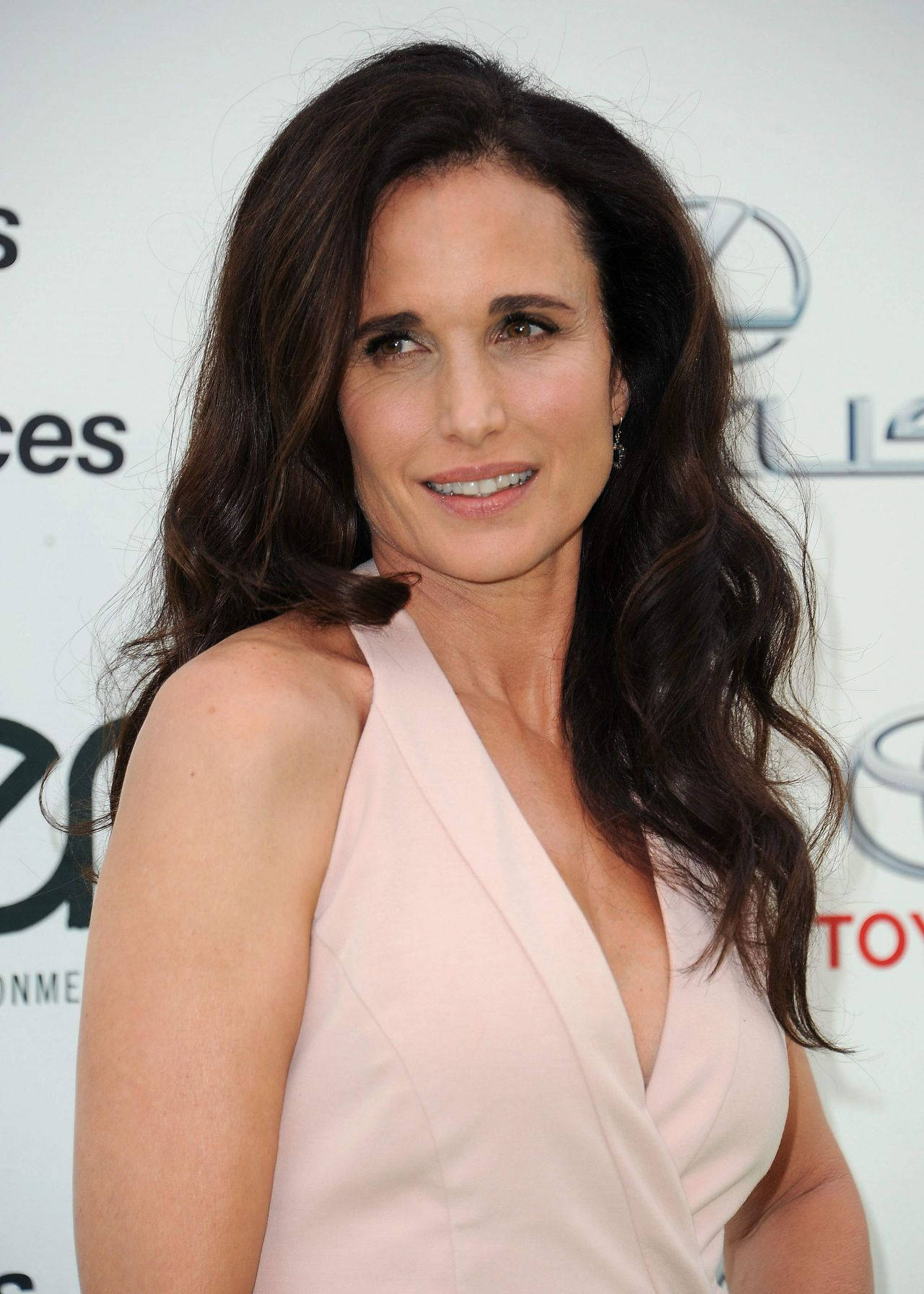 Andie Macdowell In Pink Dress Wallpaper