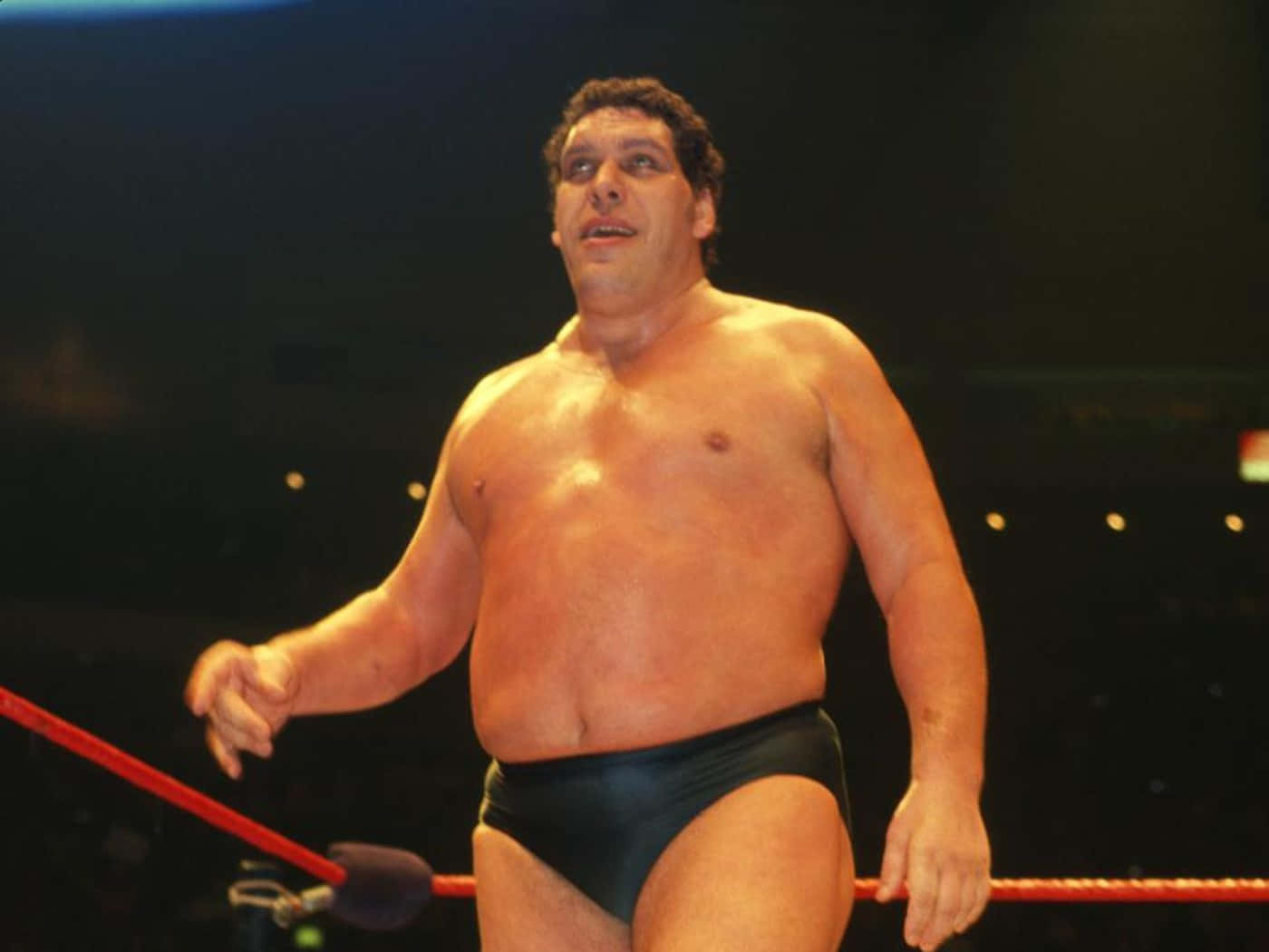 Andre The Giant Iconic Wrestling Superstar Wallpaper