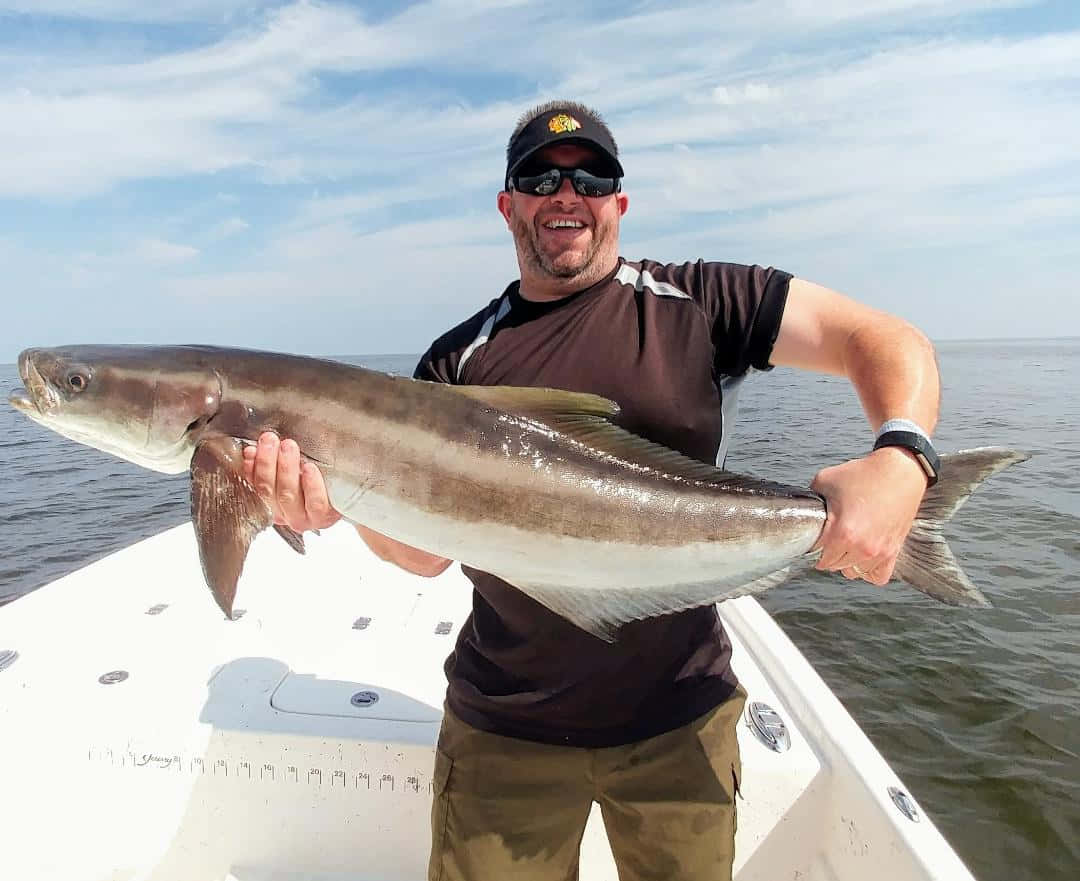 Anglerwith Caught Cobia Wallpaper