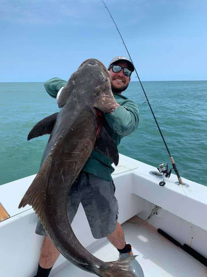 Anglerwith Giant Cobia Catch Wallpaper