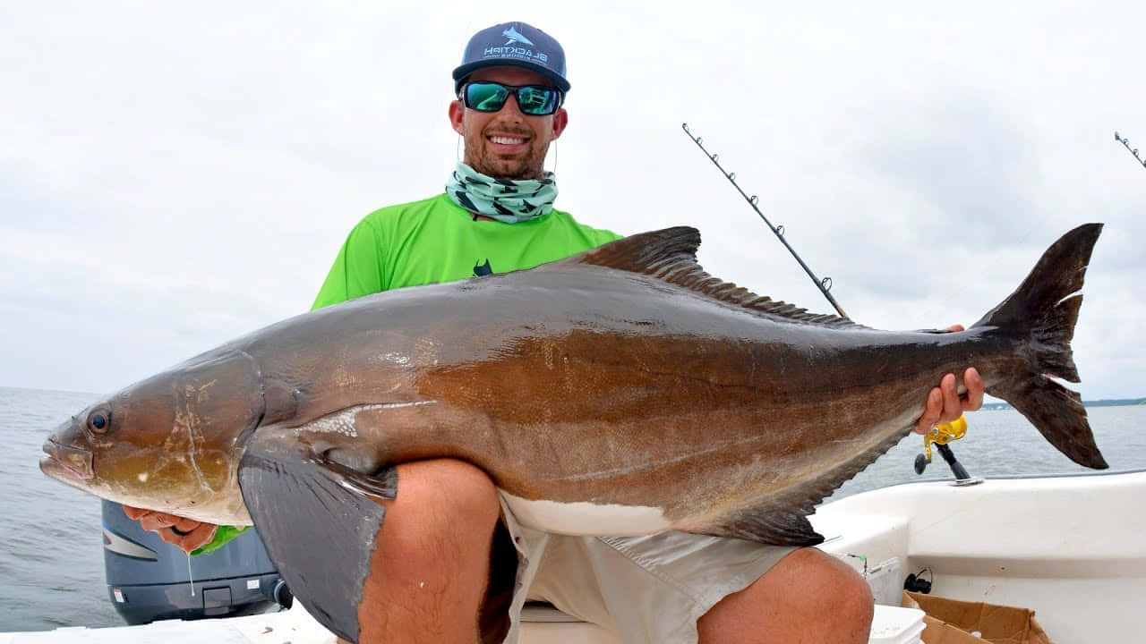 Anglerwith Large Cobia Catch Wallpaper