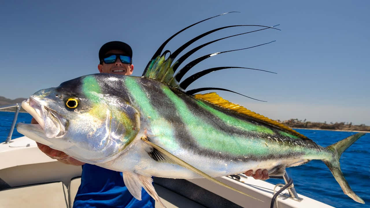 Anglerwith Roosterfish Catch Wallpaper