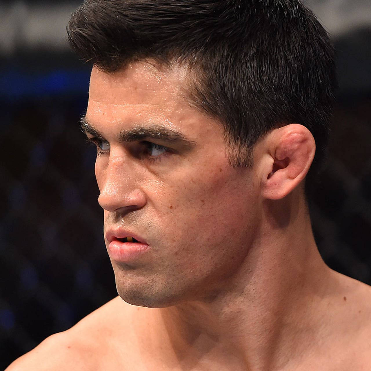 Angry Dominick Cruz Wallpaper