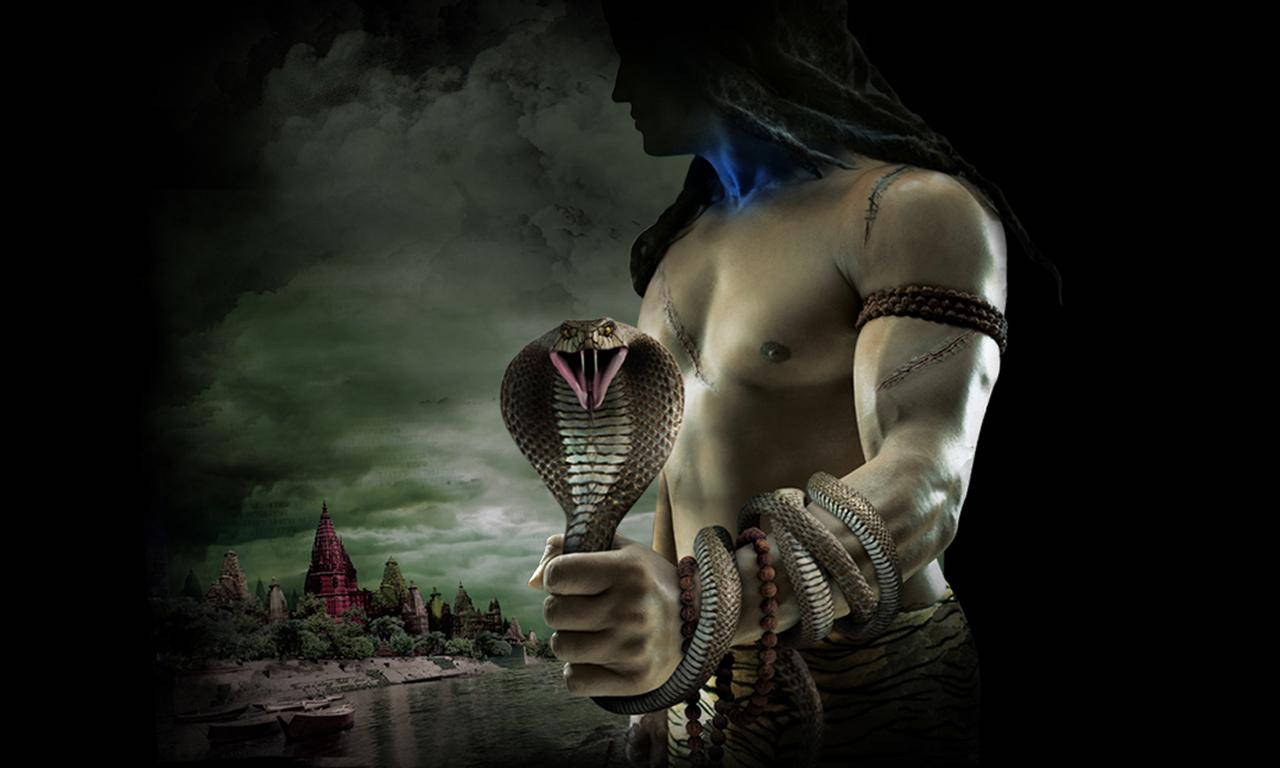 Angry Shiva King Cobra Wallpaper