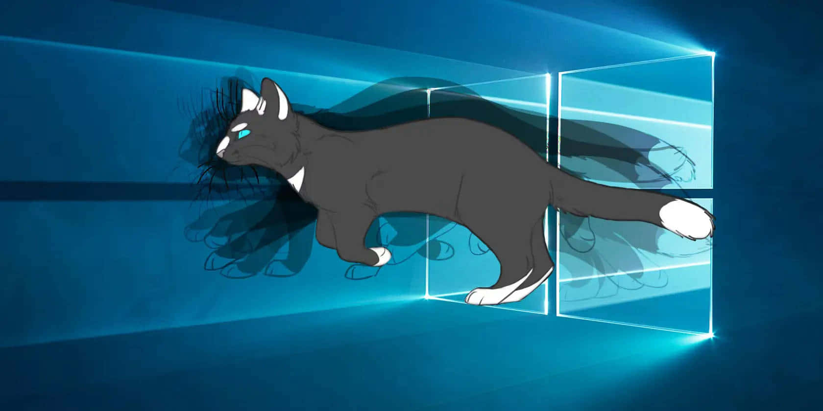 Animated Cat Breaking Windows10 Logo Wallpaper