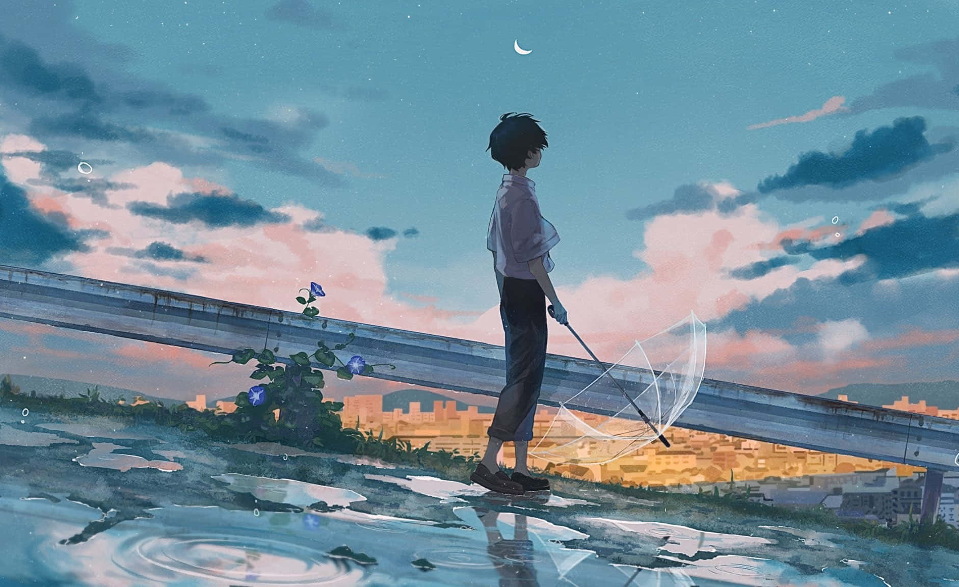 Anime Boy Catching Stars Dusk Scene Wallpaper