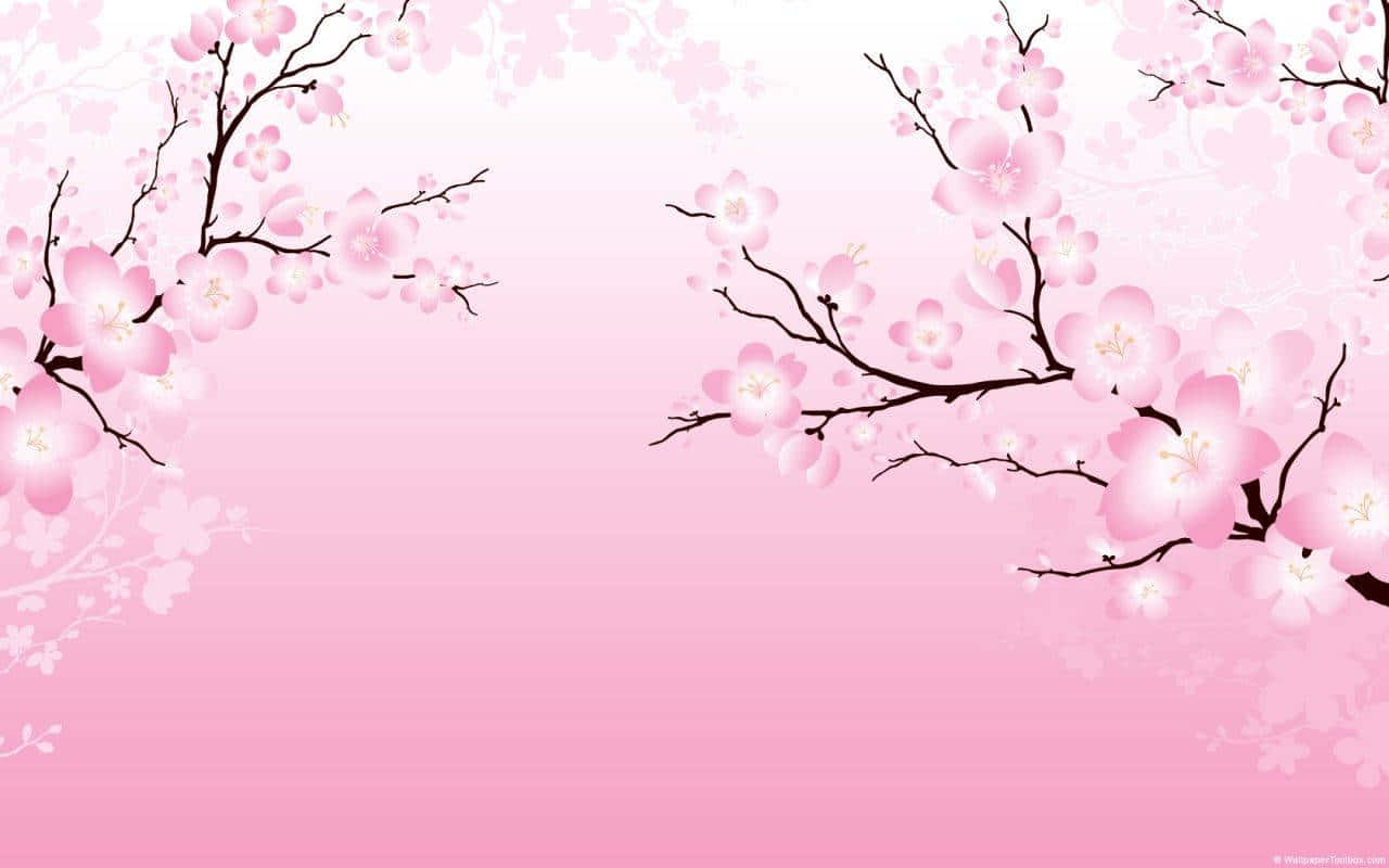 Anime Cherry Blossom Backdrop Wallpaper