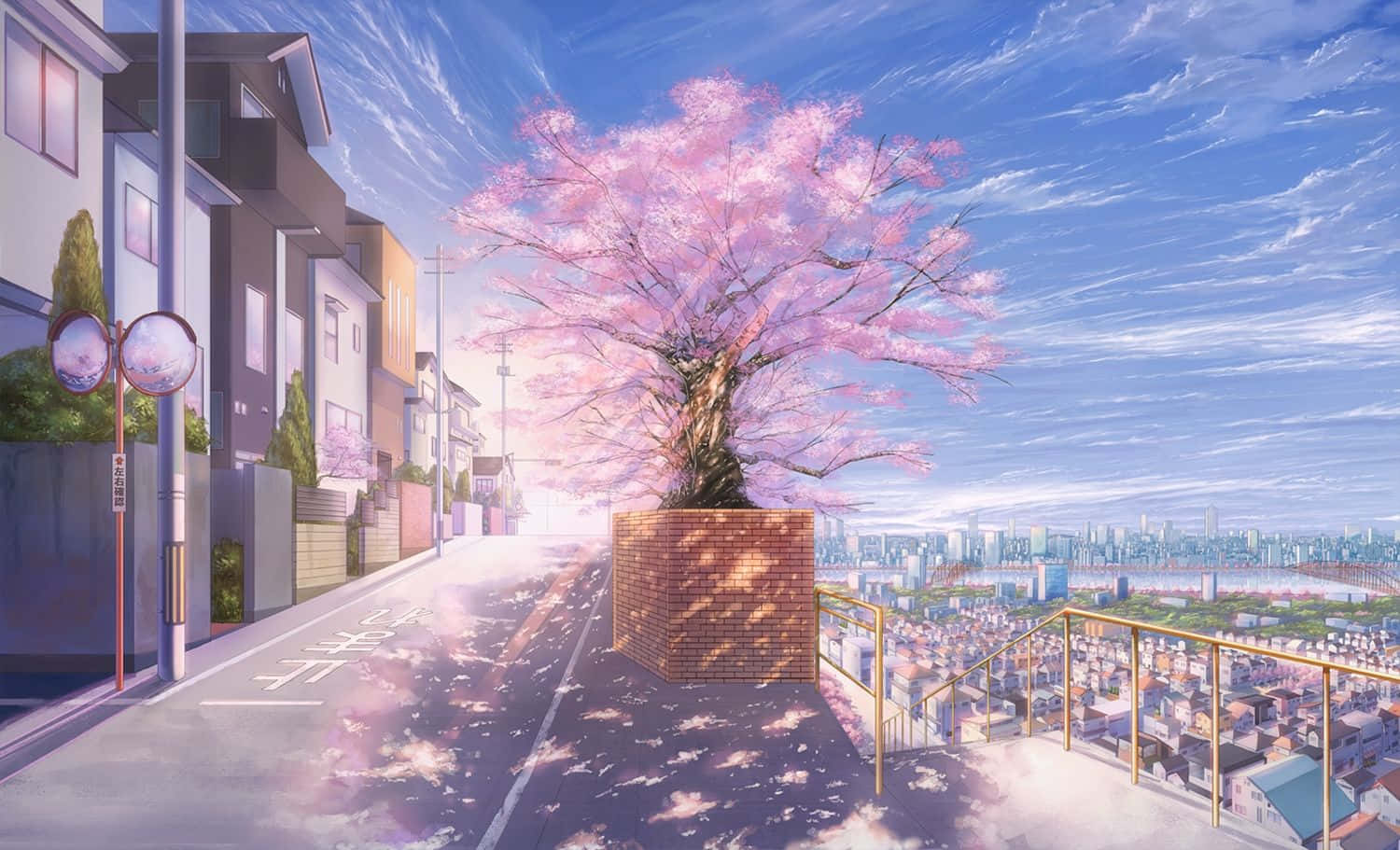 Anime Cherry Blossom Urban View Wallpaper