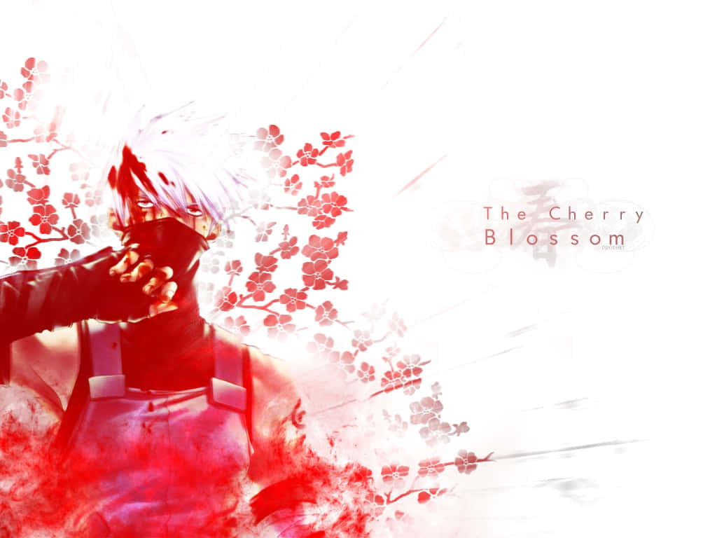 Anime Cherry Blossom Warrior Wallpaper