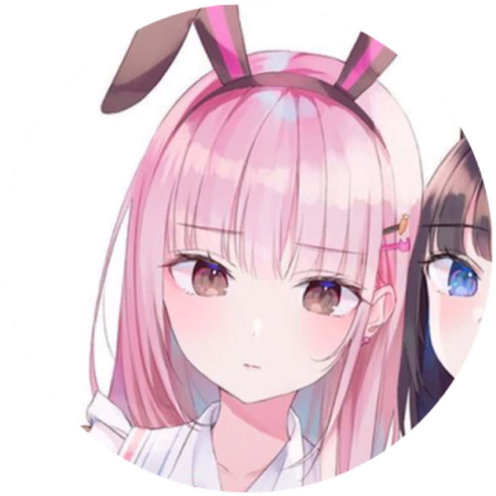 Anime Girls Pfp Bunny Ears Wallpaper