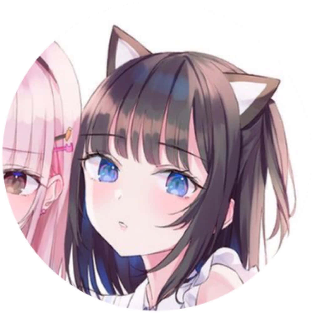 Anime Girls Pfp Cat Ears Wallpaper