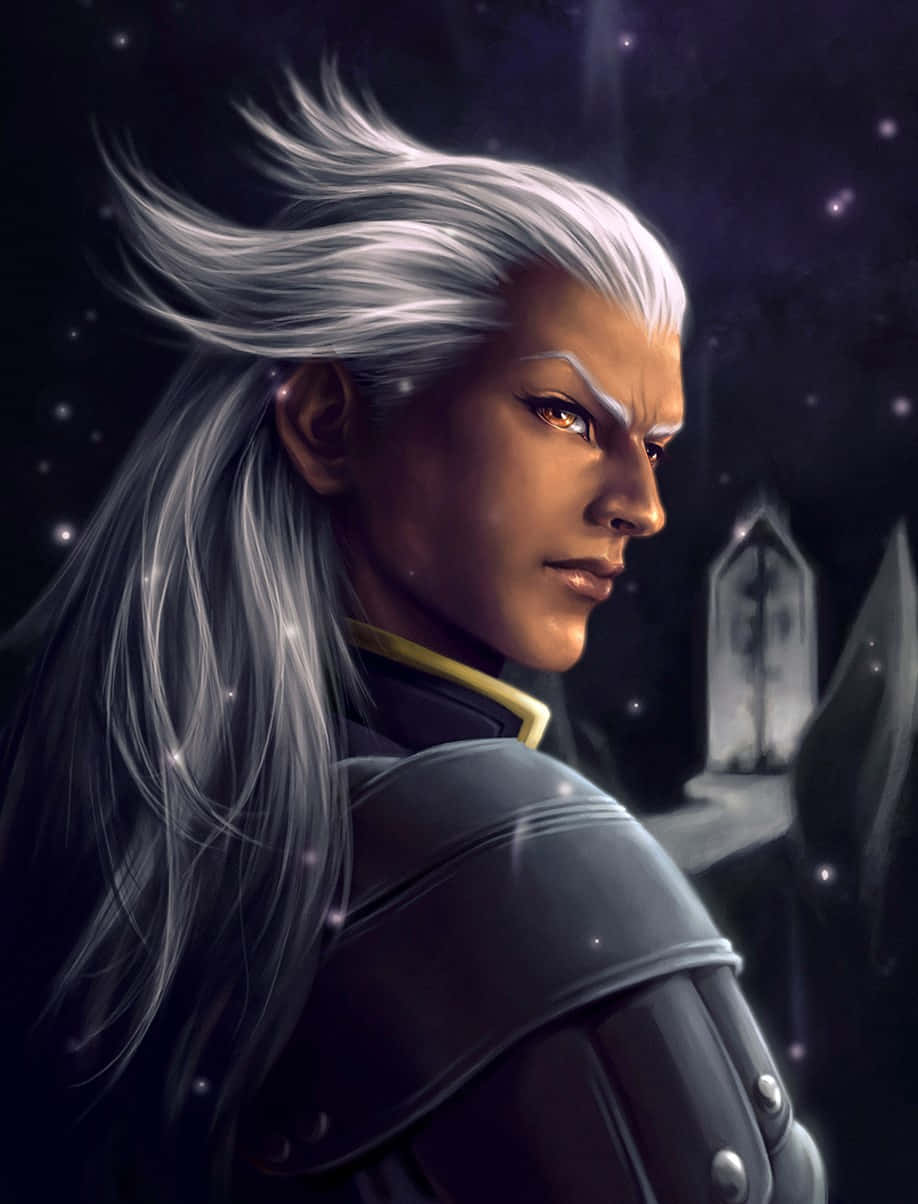 Ansem Seeker Of Darkness In Action Wallpaper