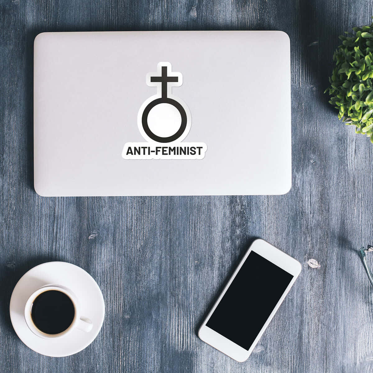 Anti Feminist Laptop Sticker Wallpaper