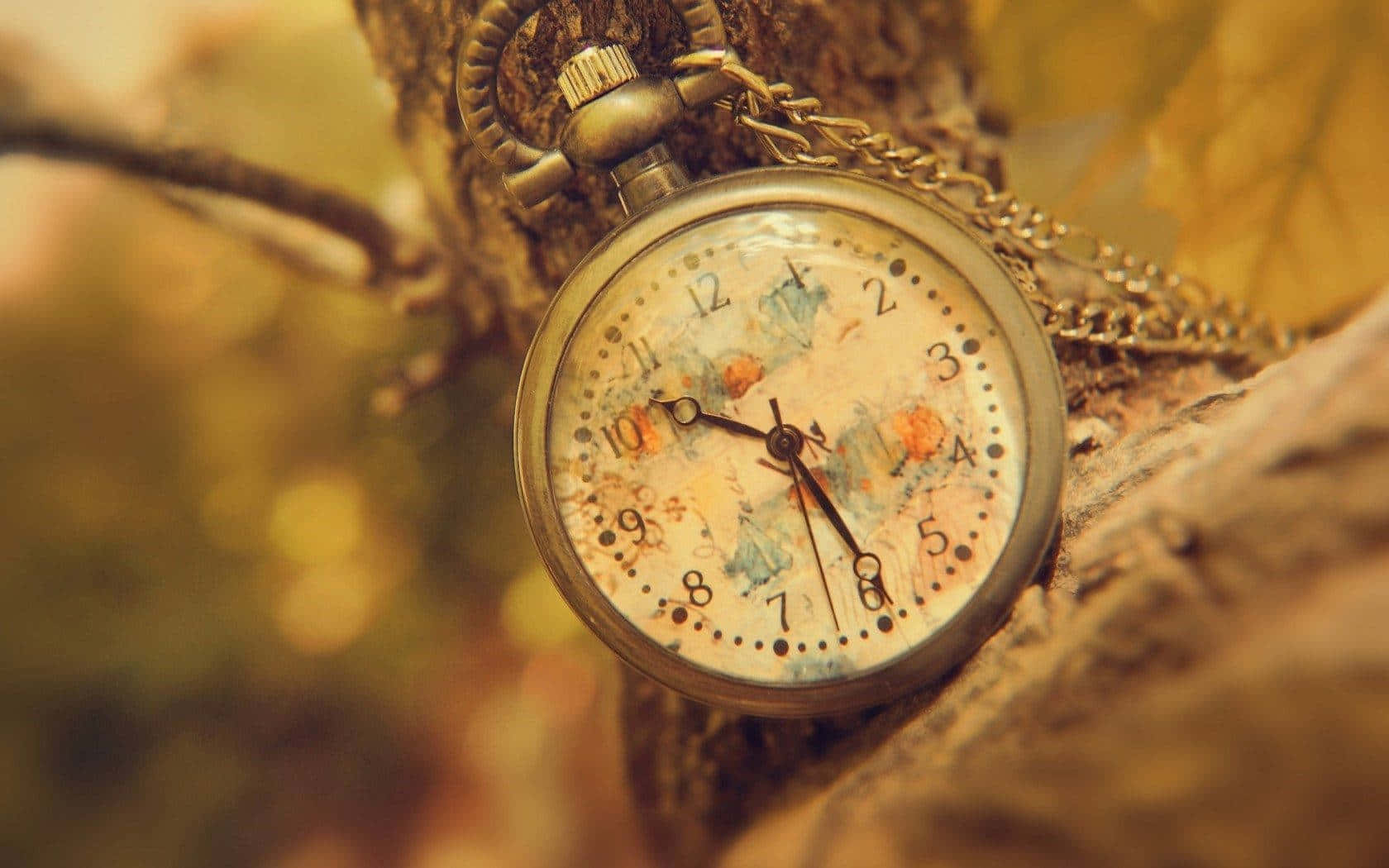 Antique Pocket Watch Autumn Backdrop Wallpaper