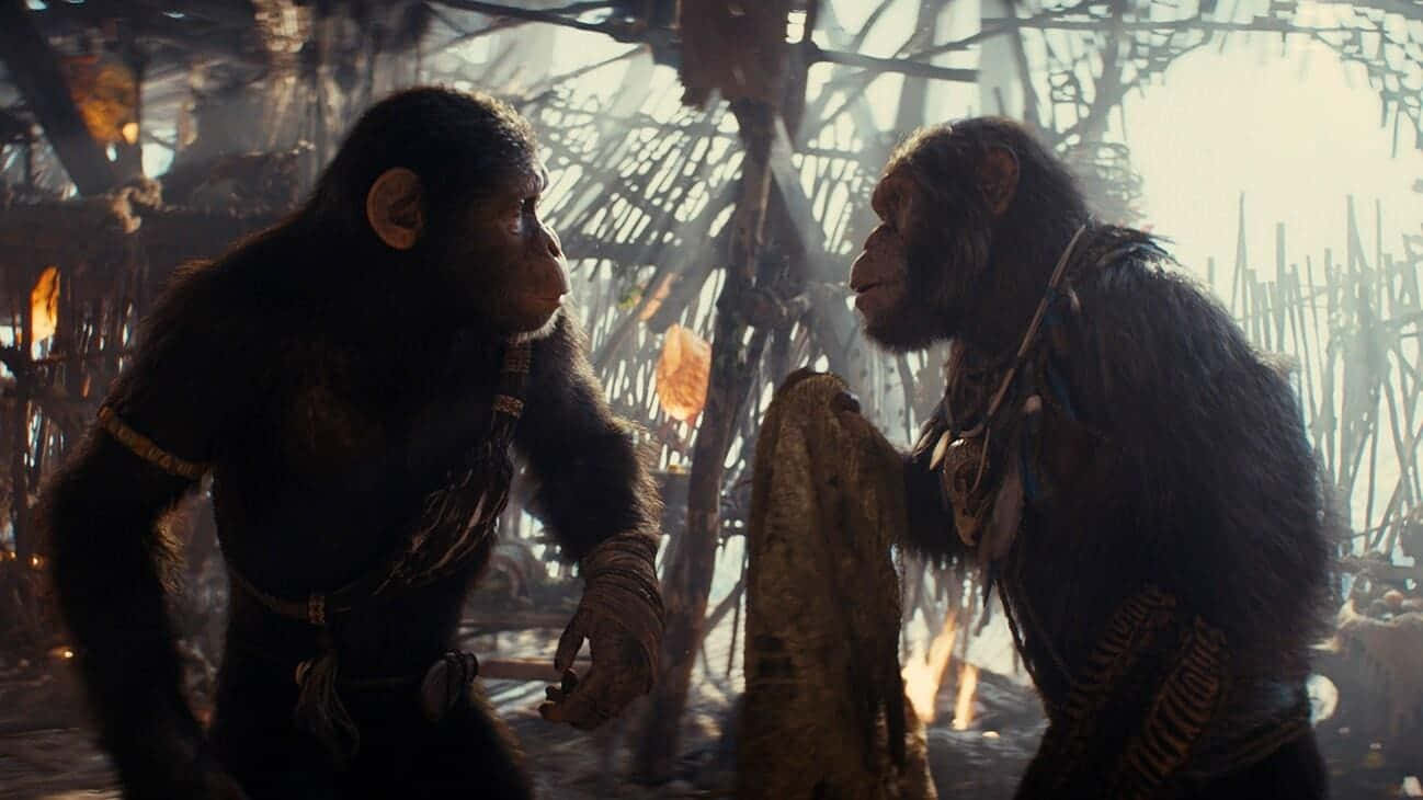 Apes Conversationin Hut Wallpaper