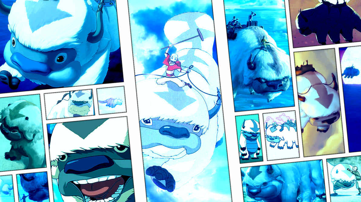 Appa Montage Avatar The Last Airbender Wallpaper