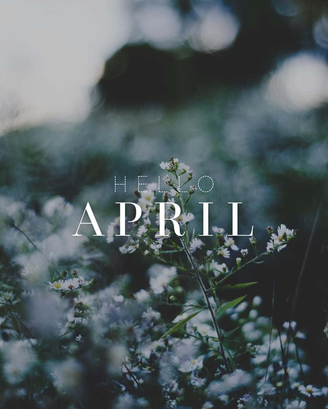 April Floral Greeting Wallpaper