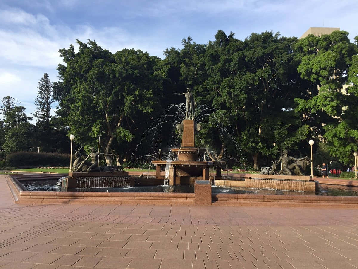 Archibald Fountain Hyde Park Sydney Wallpaper