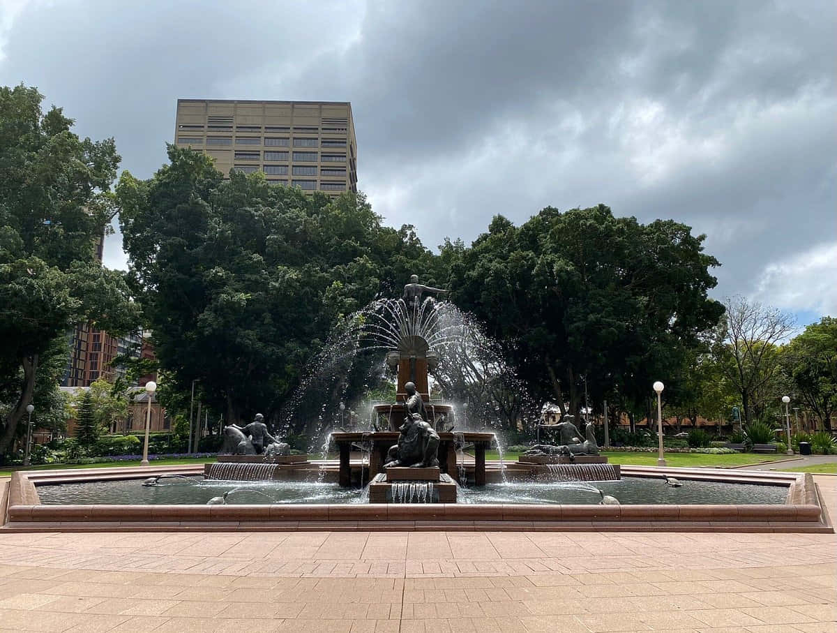 Archibald Fountain Hyde Park Sydney Wallpaper