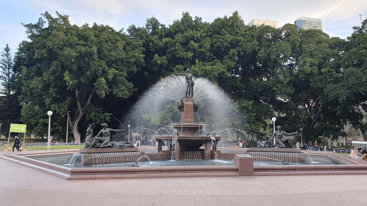 Archibald Fountain Royal Botanic Garden Sydney Wallpaper