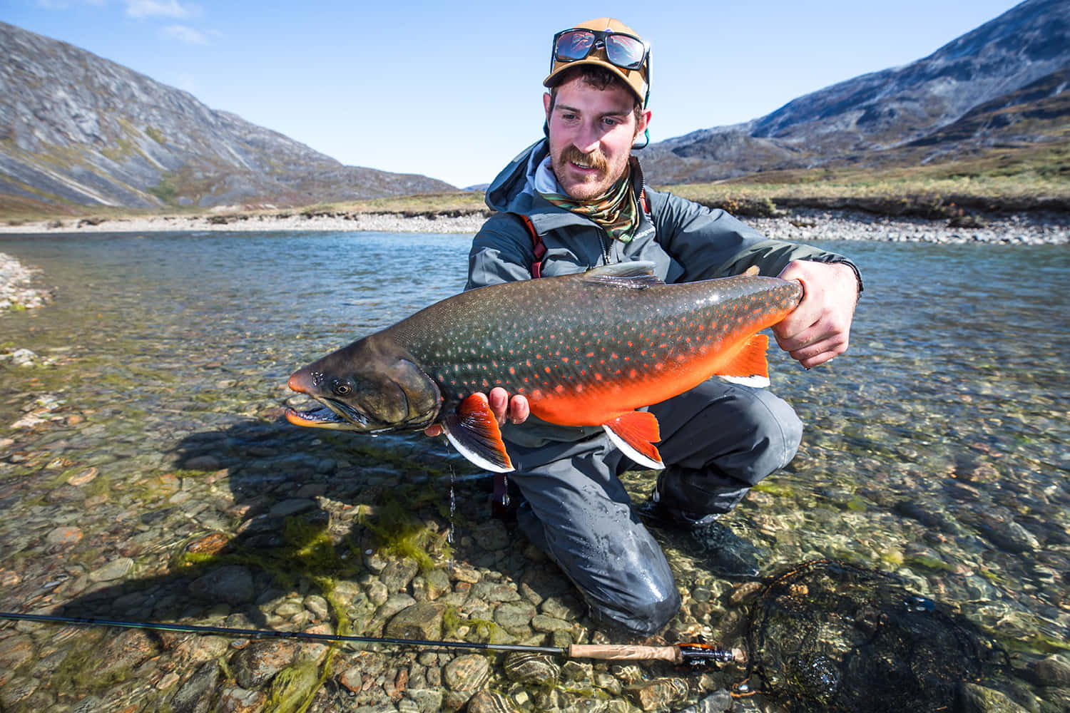 Arctic Char Catchand Release Wallpaper