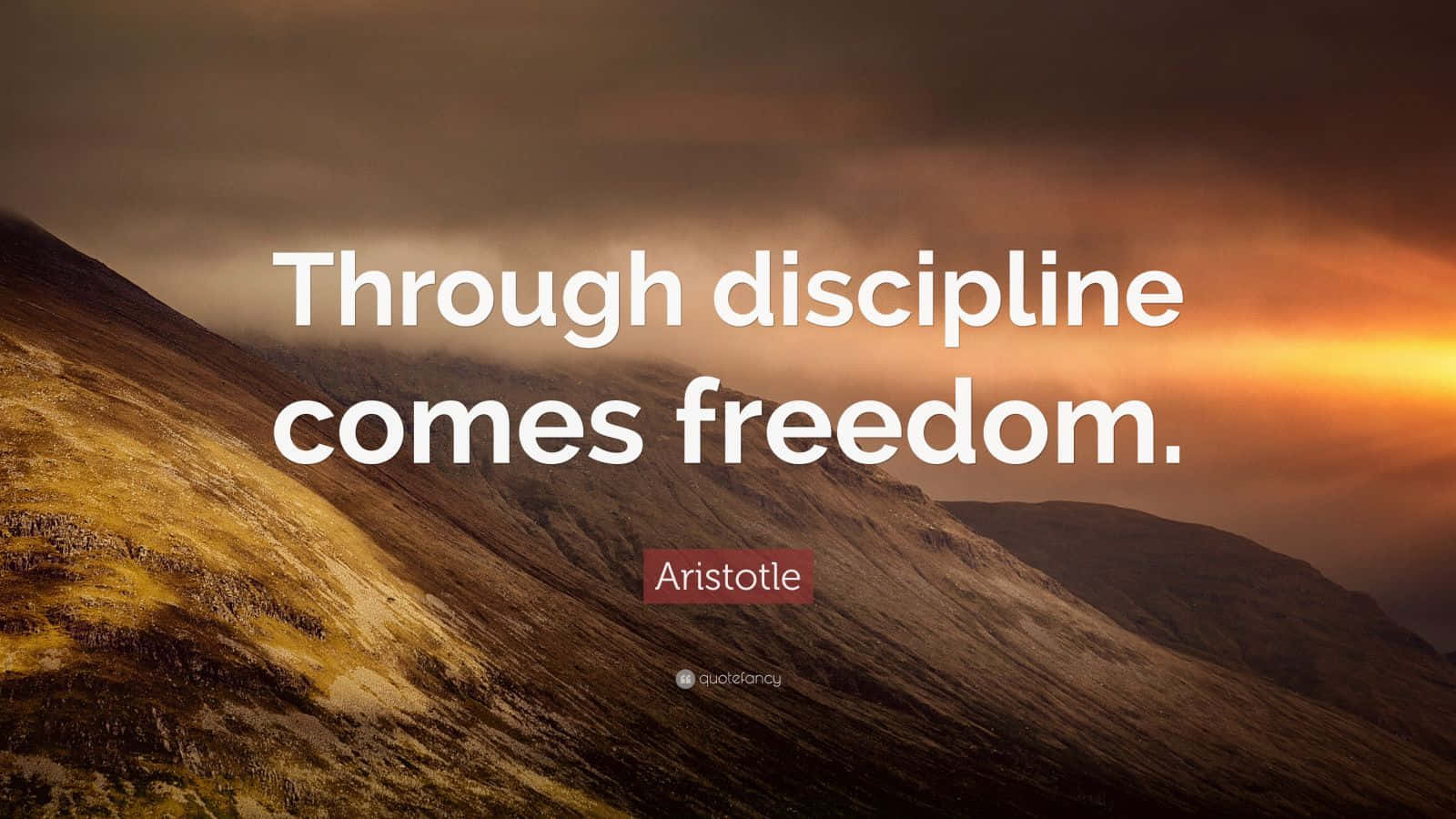 Aristotle 1600 X 900 Wallpaper