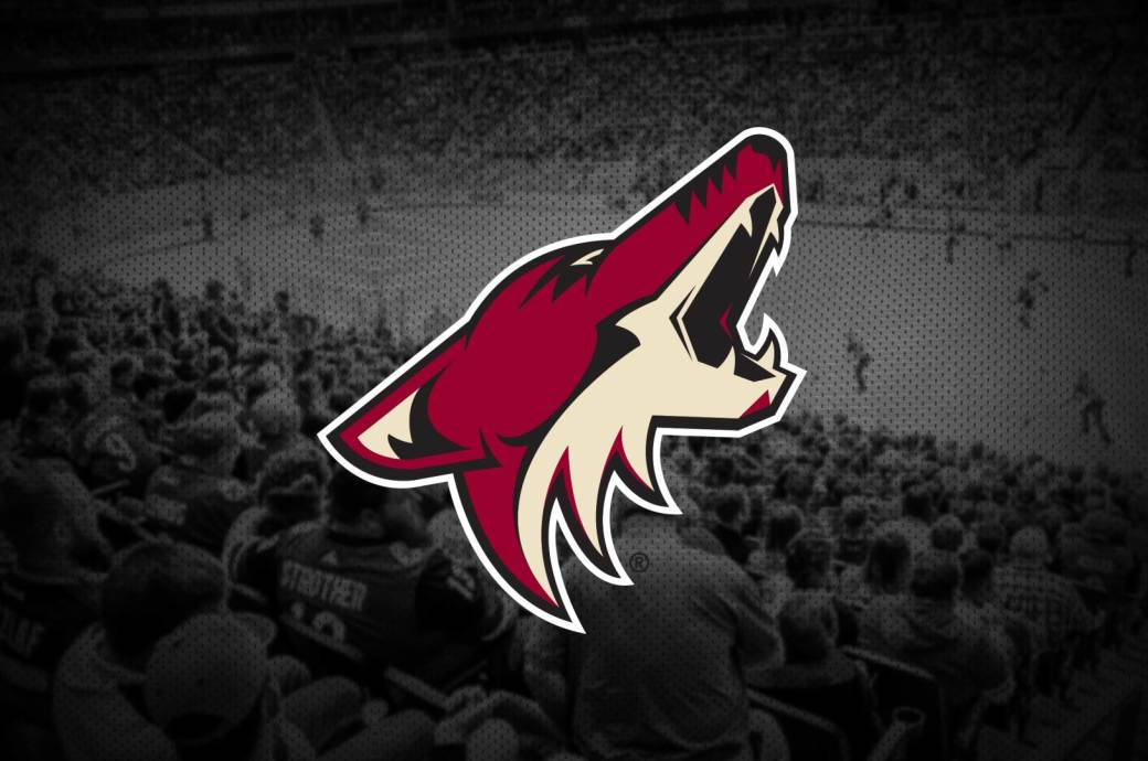 Arizona Coyotes Logo With Fans Wallpaper